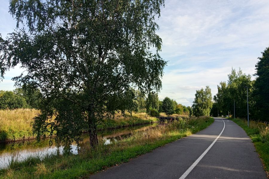 Klimatyczna ścieżka edukacyjna powstanie nad Nacyną w Rybniku